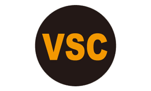 VSC Off Light Flashing