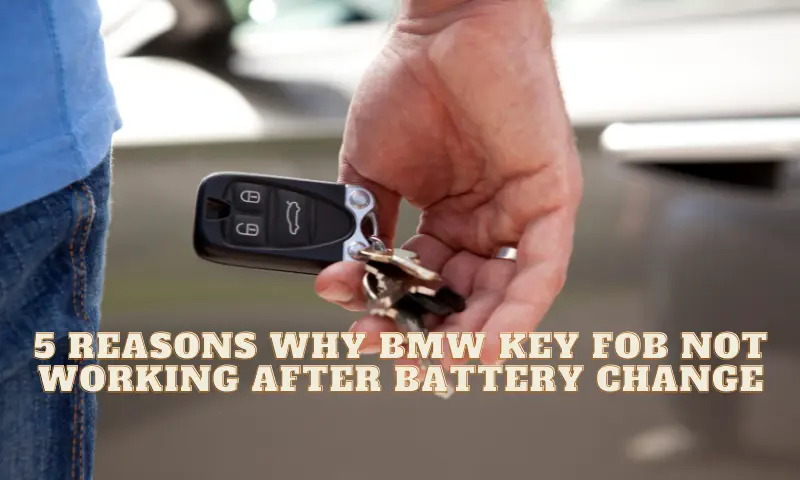 5 Reasons Why BMW Key Fob not Working After Battery Change