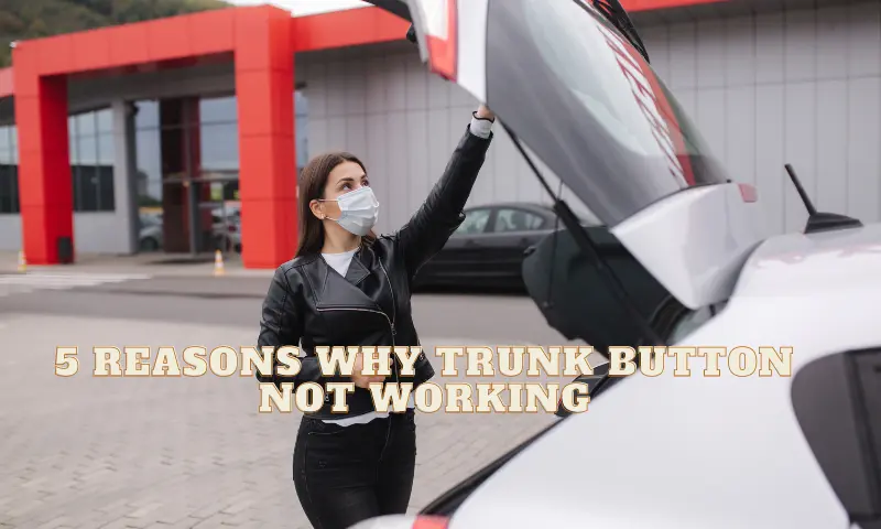 Dodge Charger Trunk Button Not Working cartipsdaily.com