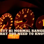 LTFT B1 Normal Range