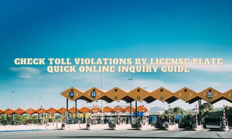 Check Toll Violations by License Plate