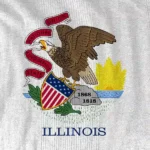 Where Can You Buy Illinois License Plate Stickers