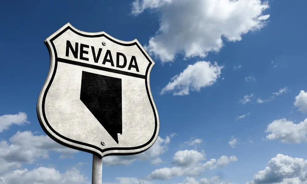 What Do You Need to Buy a Car in Texas A Quick Guide