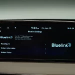 Hyundai Blue Link Not Working