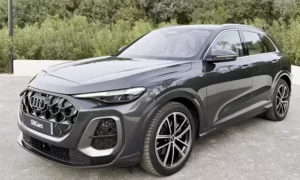 Audi Q5 Gas Type